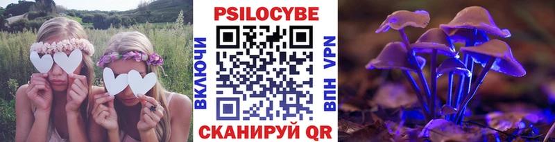 Псилоцибиновые грибы Psilocybe  hydra рабочий сайт  Печора 