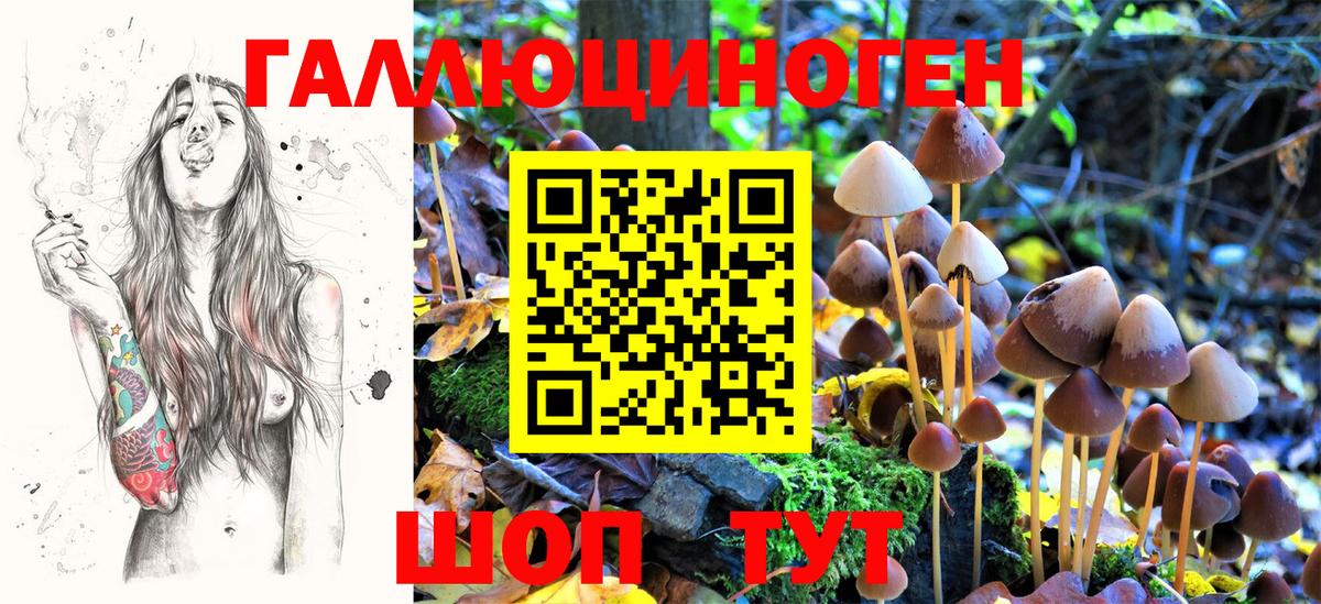 Печора  Галлюциногенные грибы Psilocybine cubensis  Вход с VPN  Псилоцибиновые грибы GOLDEN TEACHER 