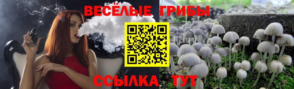 Псилоцибиновые грибы мухоморы Печора