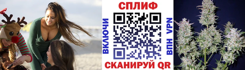 Канабис индика omg вход Печора
