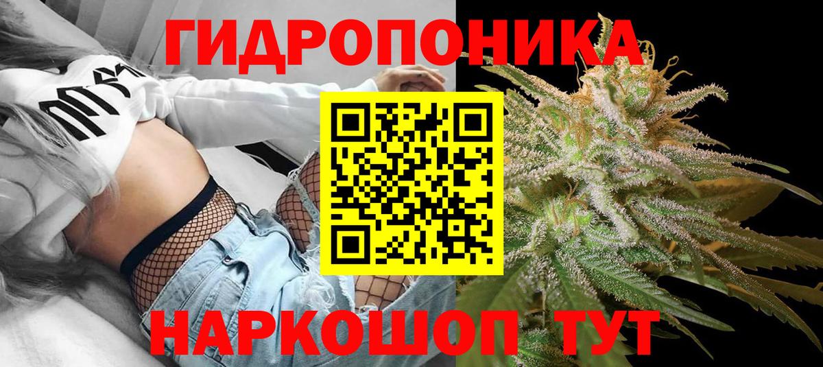 Бошки марихуана план Печора